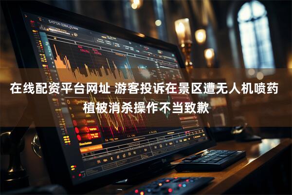 在线配资平台网址 游客投诉在景区遭无人机喷药 植被消杀操作不当致歉