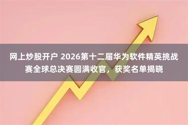 网上炒股开户 2026第十二届华为软件精英挑战赛全球总决赛圆满收官，获奖名单揭晓